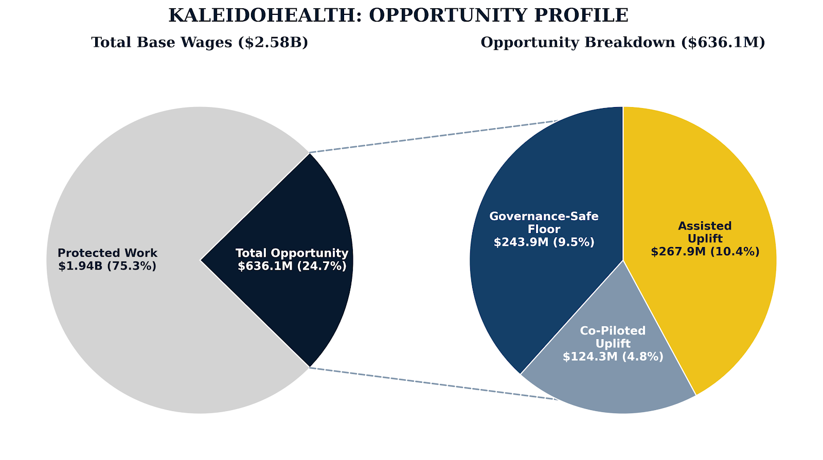 KaleidoHealth AI Opportunity Profile